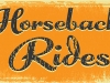 horsebridestrailer13_0412